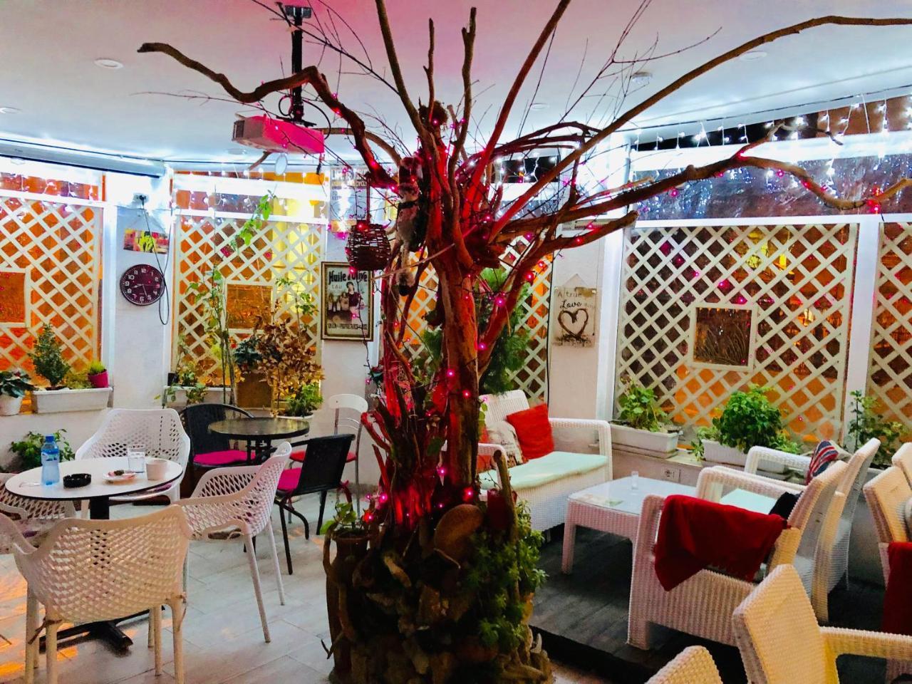 Vila Ada Hotel Тирана Екстериор снимка